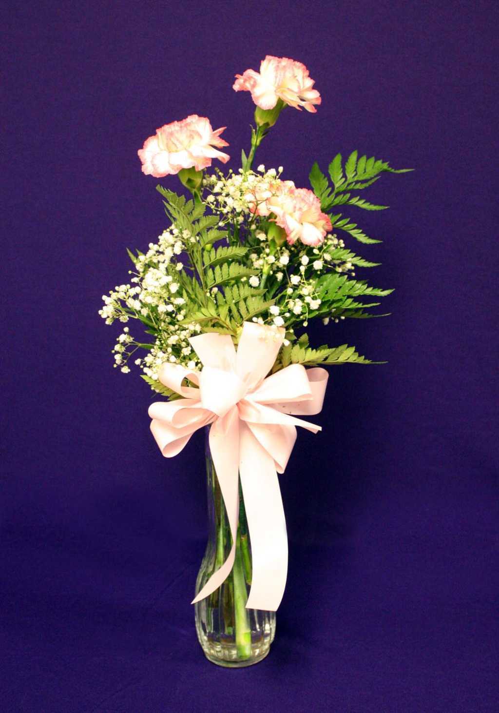 Pink Carnations with Pink Ribbon Floral Arrangement from Mon General Hospital Gift Shop